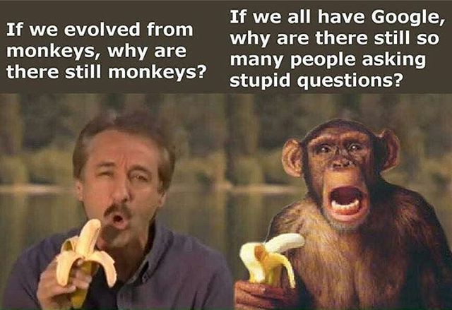 evolved_monkey.jpg