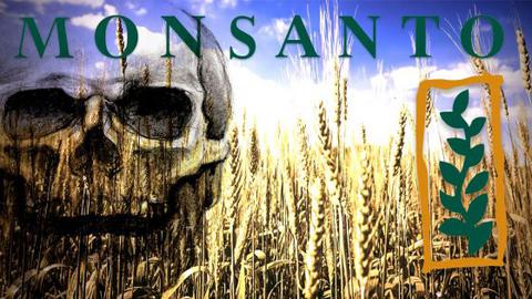 monsanto.jpg