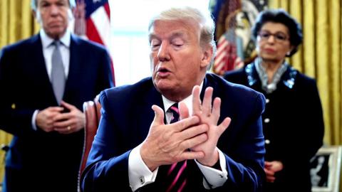 small_hands_don.jpg