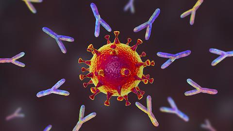 covid_immunity.jpg