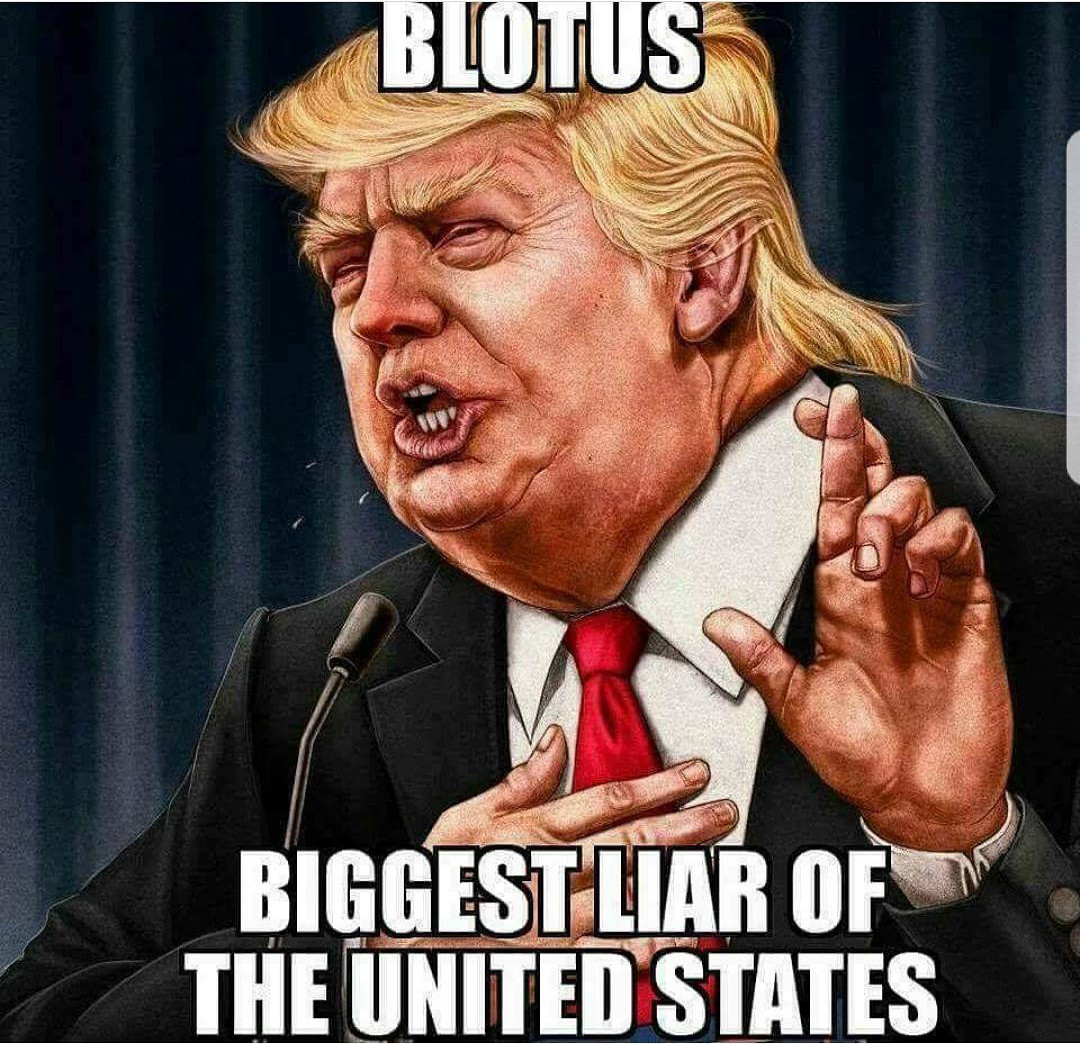 blotus.jpg