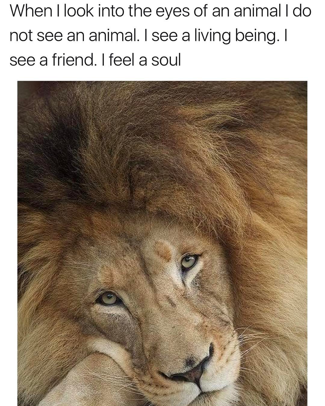 feel_a_soul.jpg