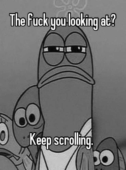 you_looking_at.jpg